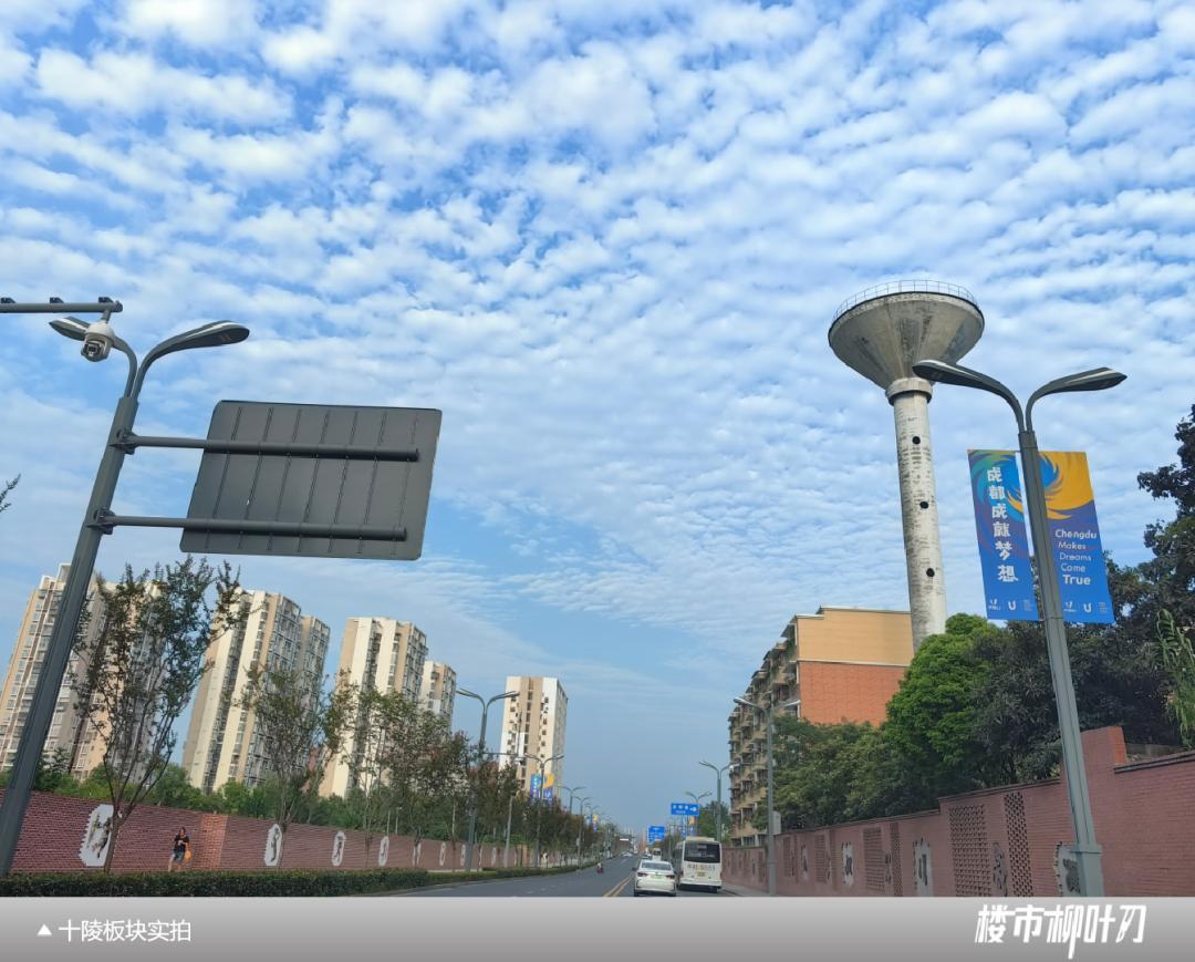 成都武侯新城板块,成都主城区板块分析最新