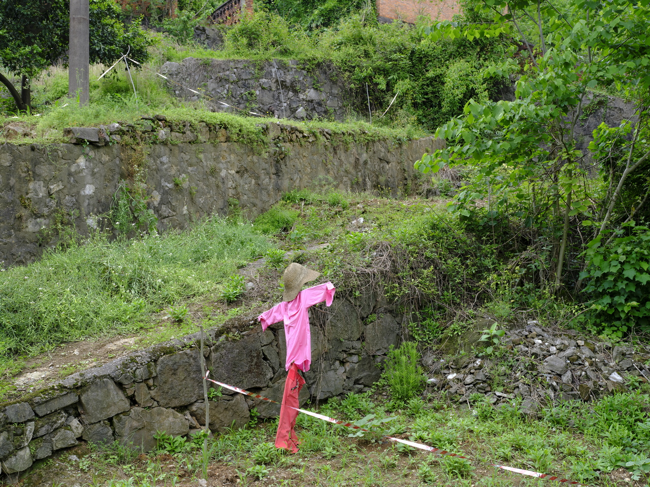 宜都717三线工厂,宜都717厂历史