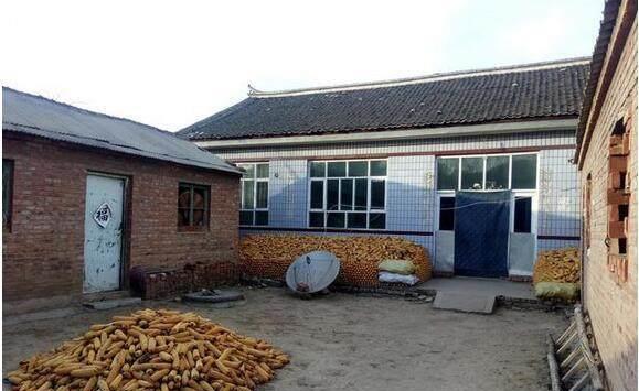 丈夫为了报复，杀死了强奸妻子的行凶者，网友质疑判决不公！