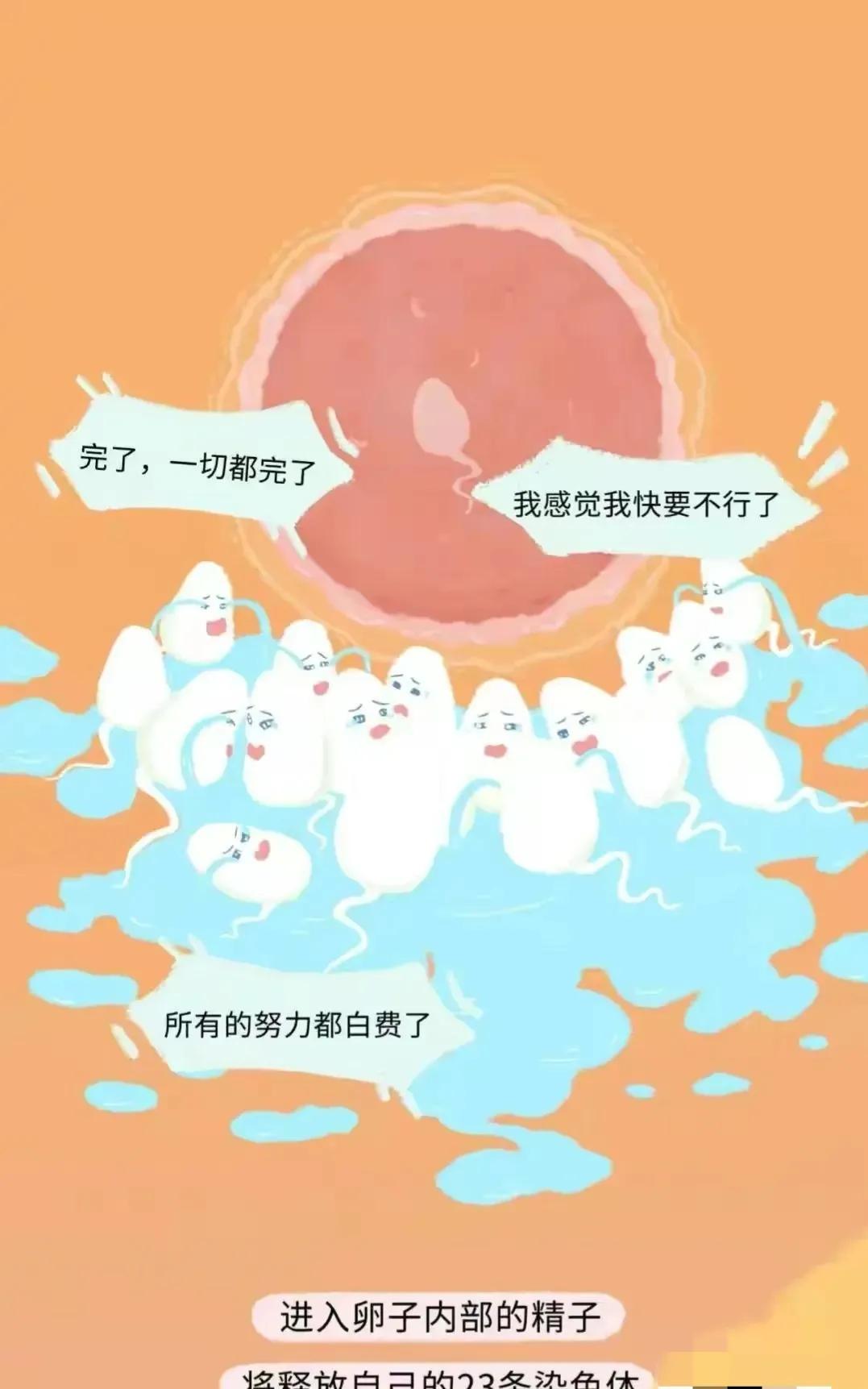 如何怀孕具体步骤图片,怎样才会怀孕简单的图片