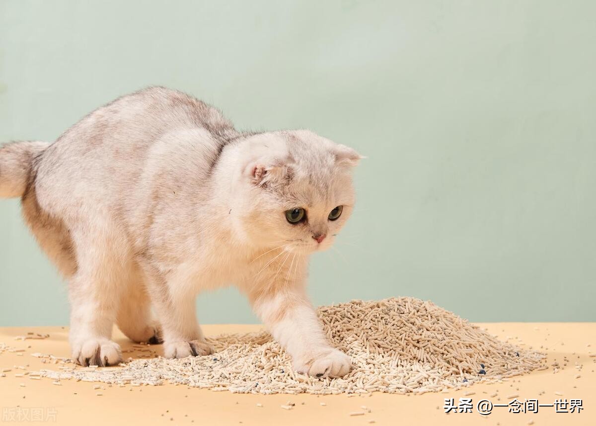 当你被排斥时，这样做才是大智慧