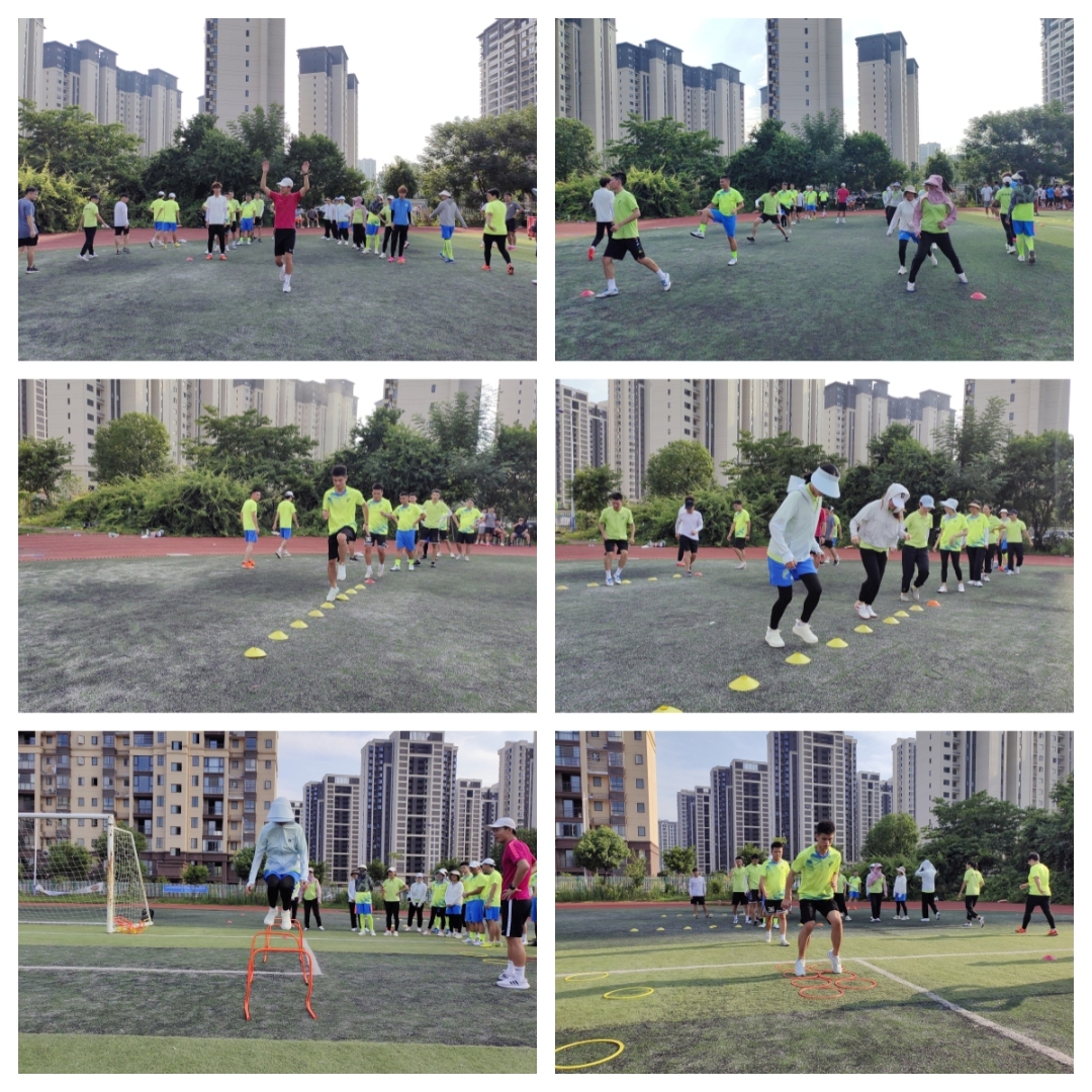 派迪茵体能训练,派迪茵体育有限公司