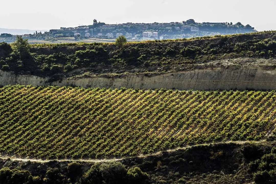 葡萄酒的中国之旅,法国葡萄酒旅游