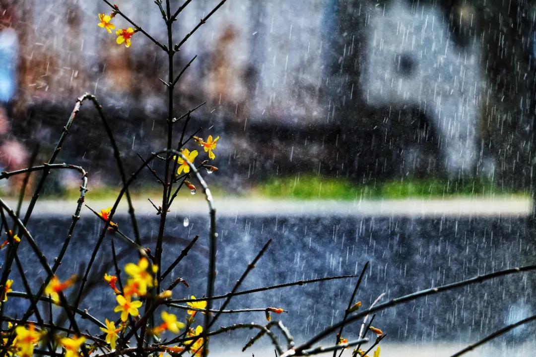 雨水哲理,雨水的好句