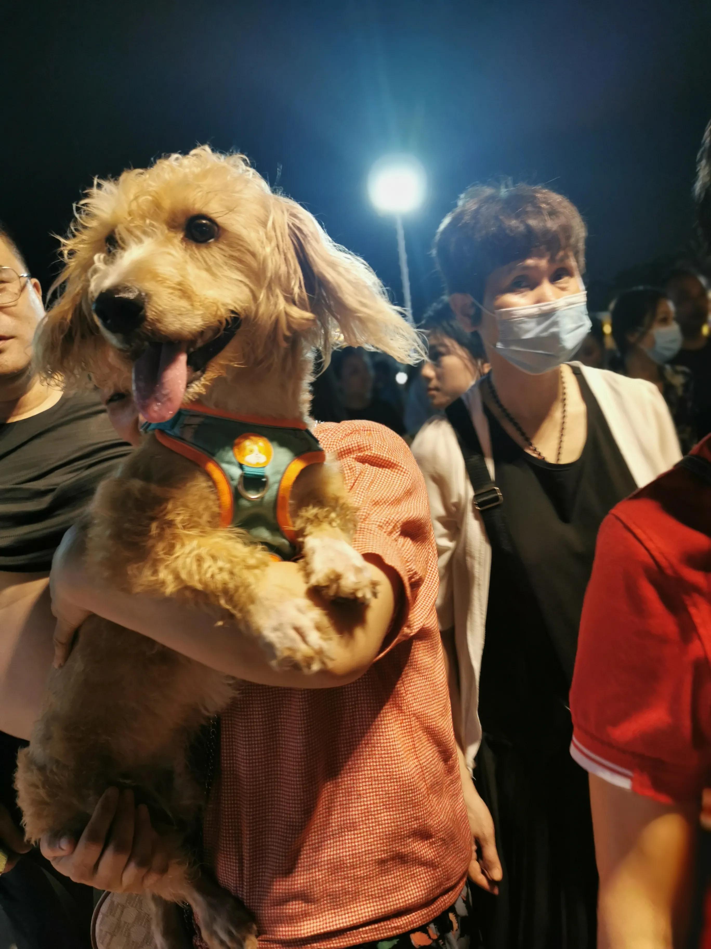海南海口白沙门夜市打卡,海口白沙门夜市体验高山流水