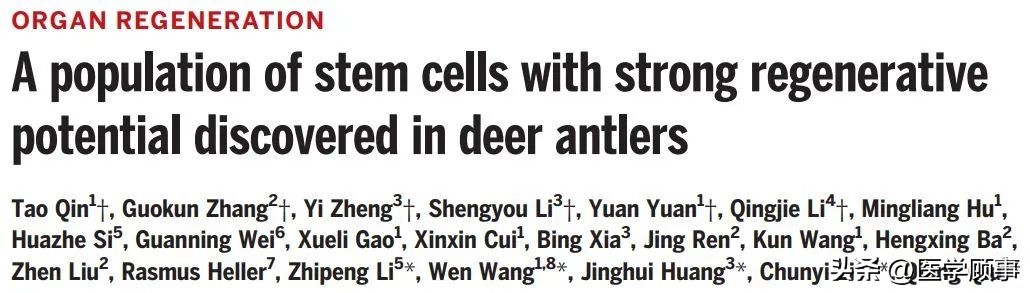 鹿茸生长原理,科学角度分析鹿茸