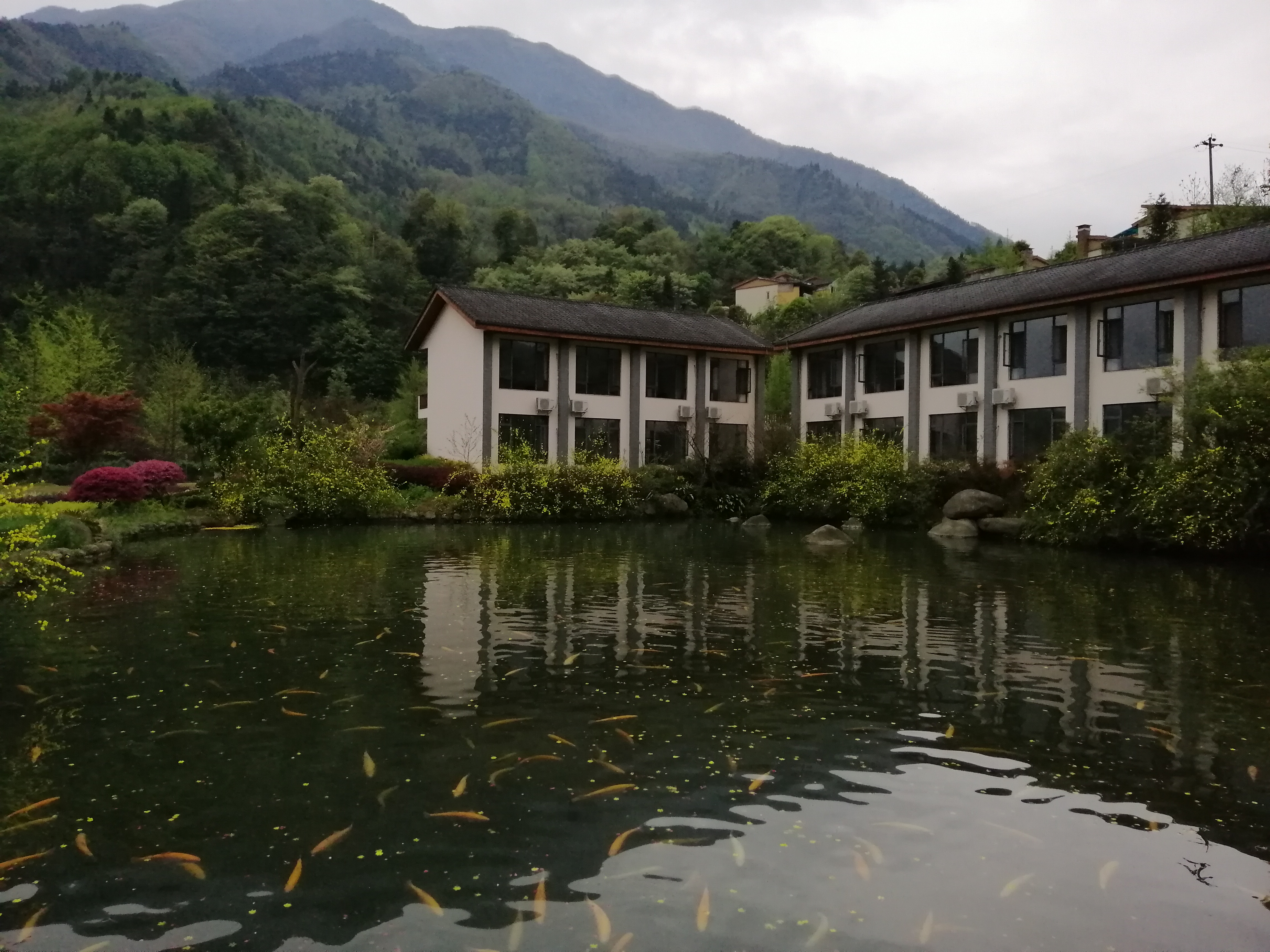 “种草”《大河恋》,解锁大虹鳟,也寻找着生命的意义