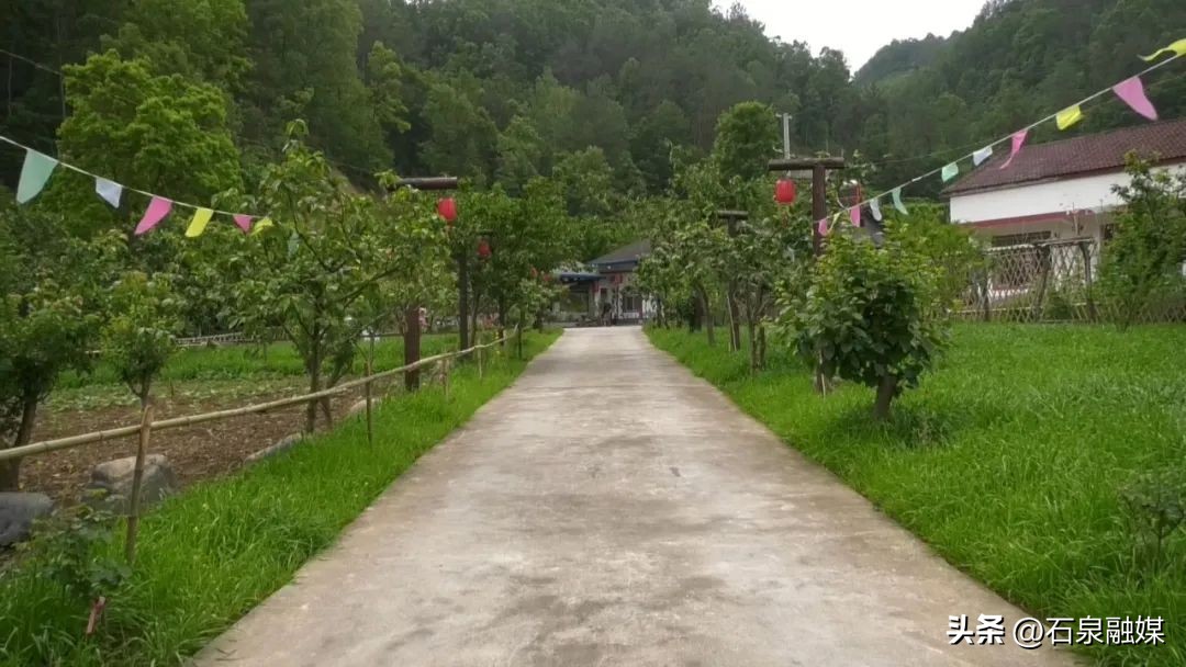 乡村振兴看大田围村,乡村振兴看永兴花海