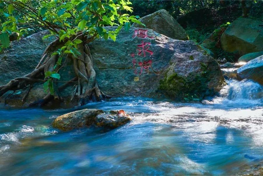 从化东成荷花园,从化摘荔枝之旅