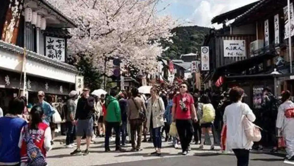 日本电商干不过实体店真正原因,为什么日本零售能干过电商