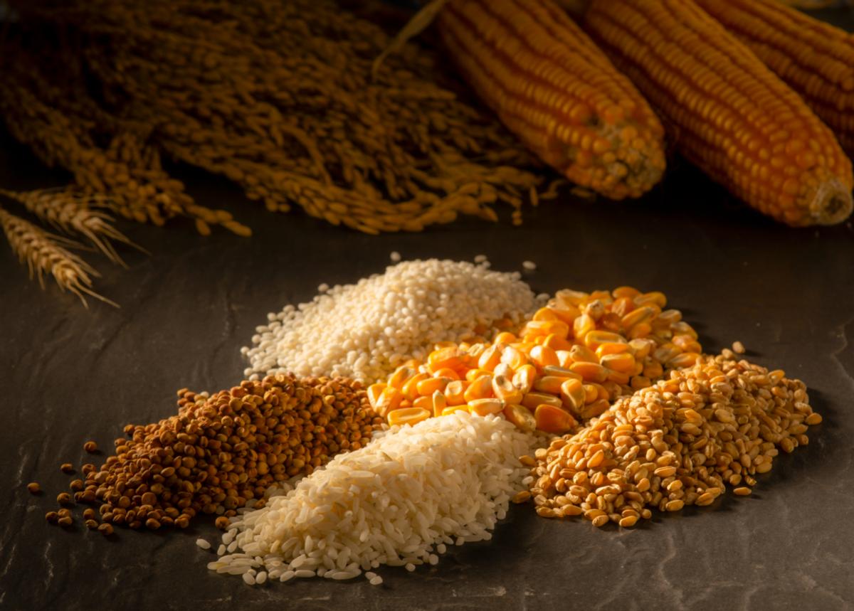 大明双城记：姑苏茶与叙州酒