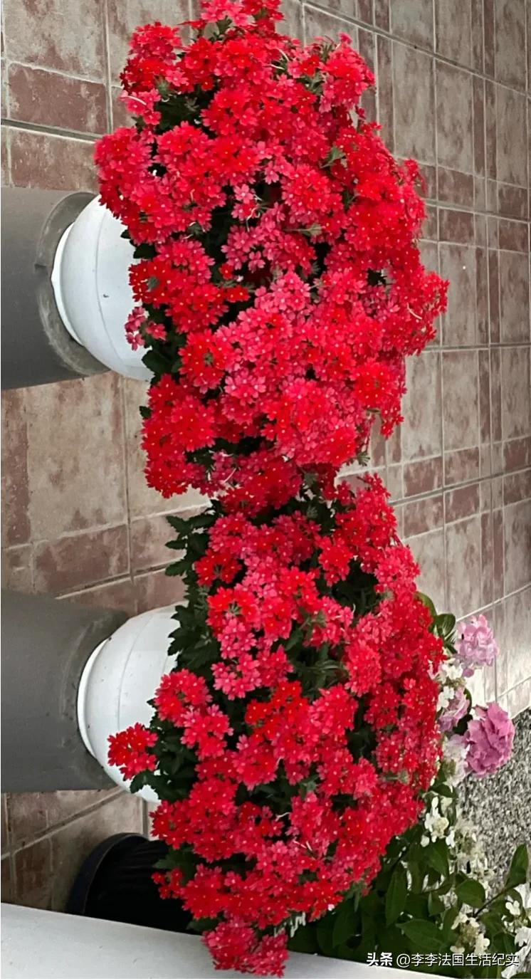 电脑屏幕伤眼有哪些解决方案,电脑屏幕伤眼睛怎么办