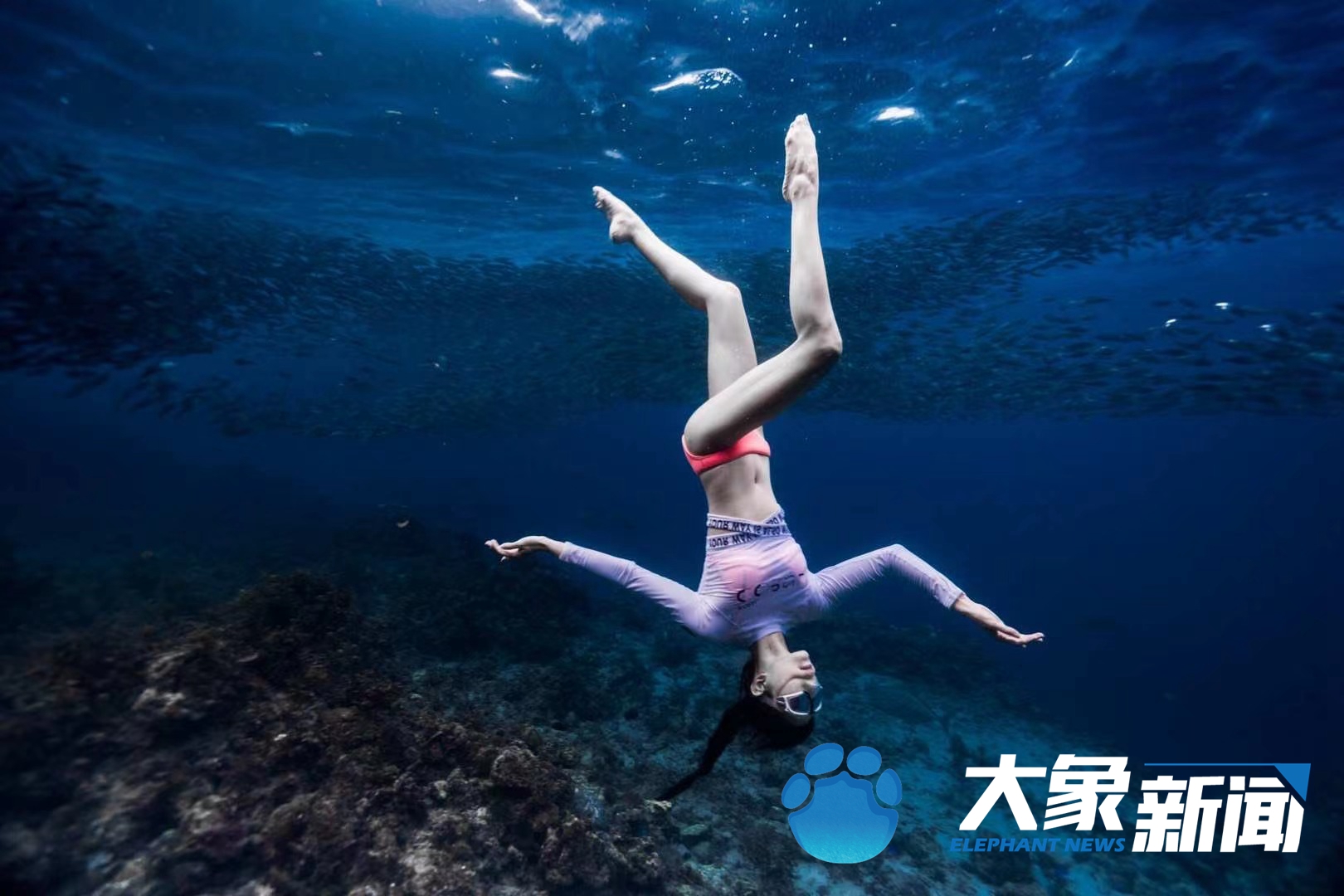 水下洛神何灏浩个人资料,潜水冠军何灏浩