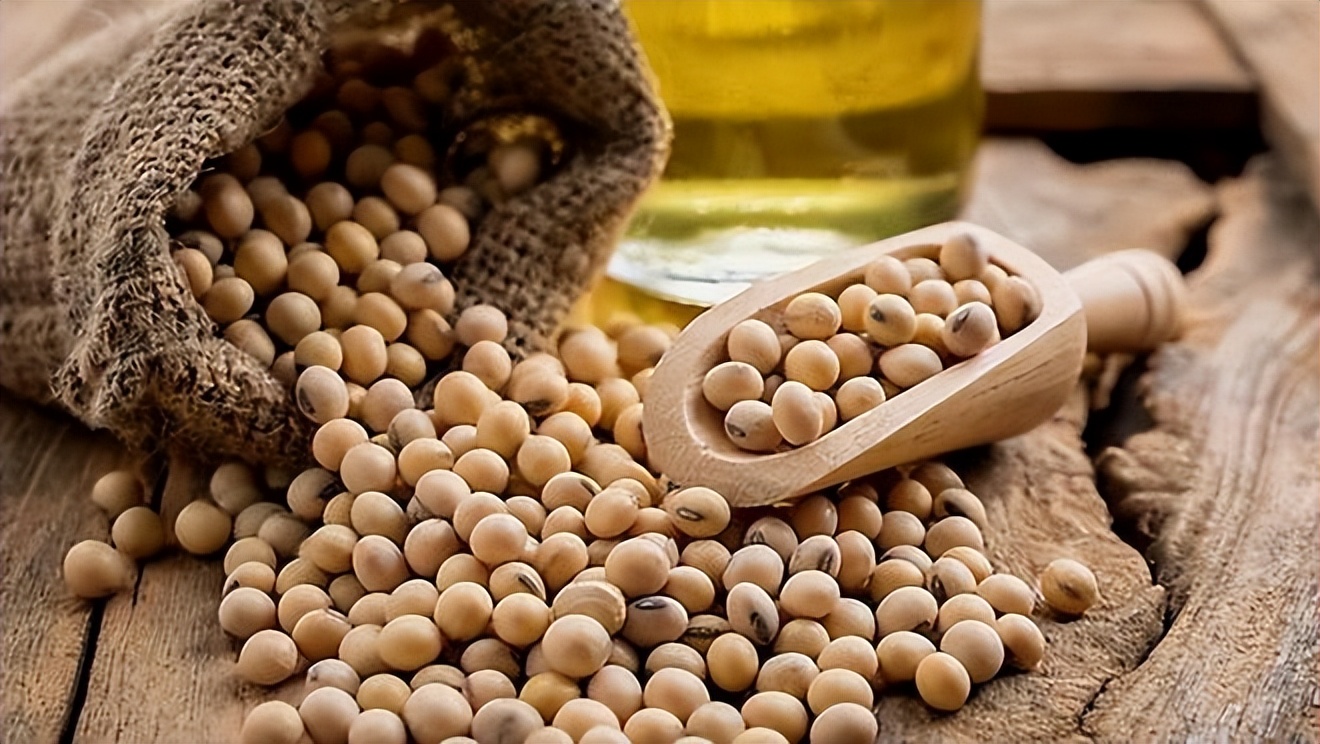 中国赠送美国大豆种子,中国大豆种子是谁送给美国的