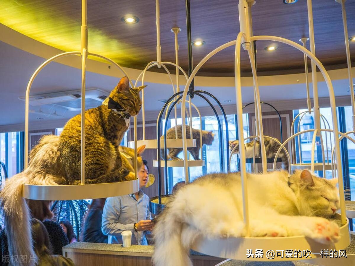 投资10万以内能开什么实体店,开一家实体店10万以内