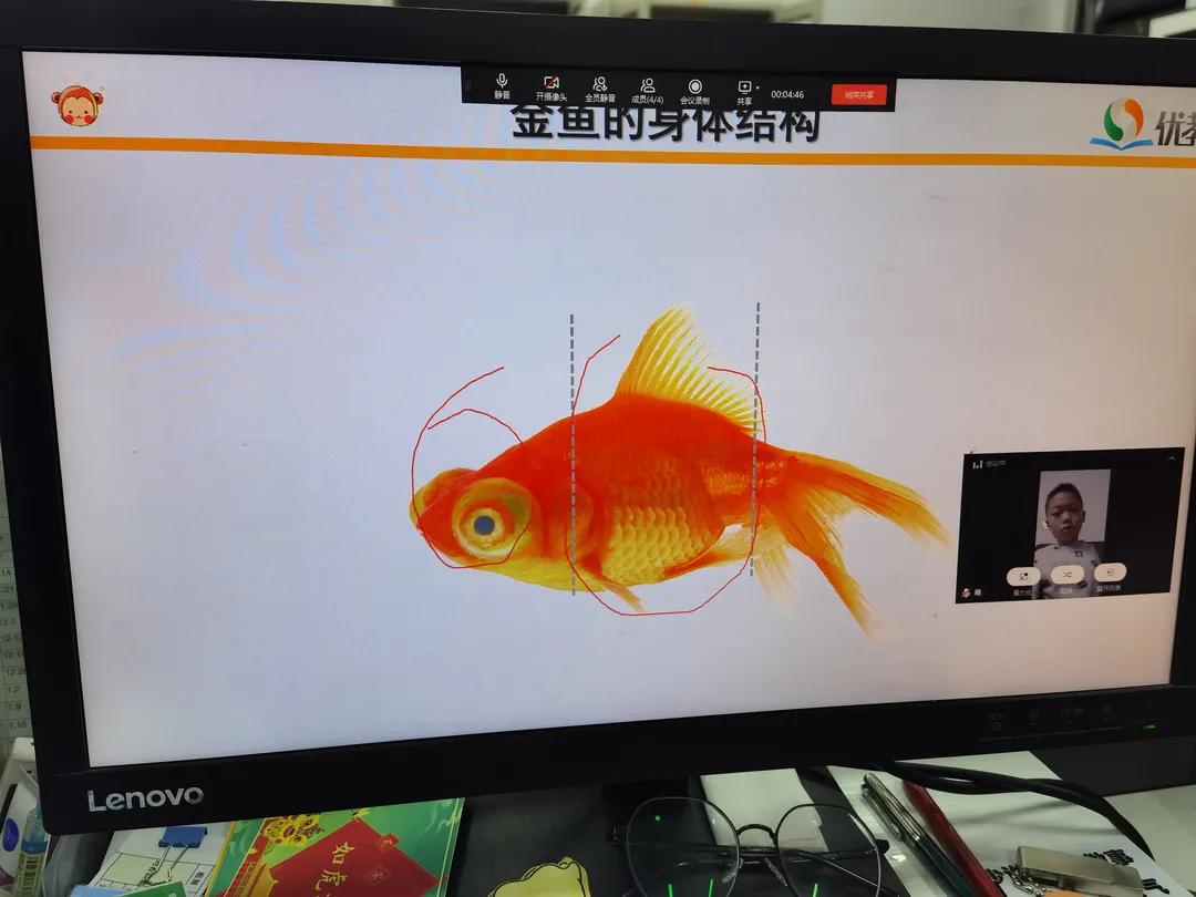 趣味闯关多元测评,多元测评