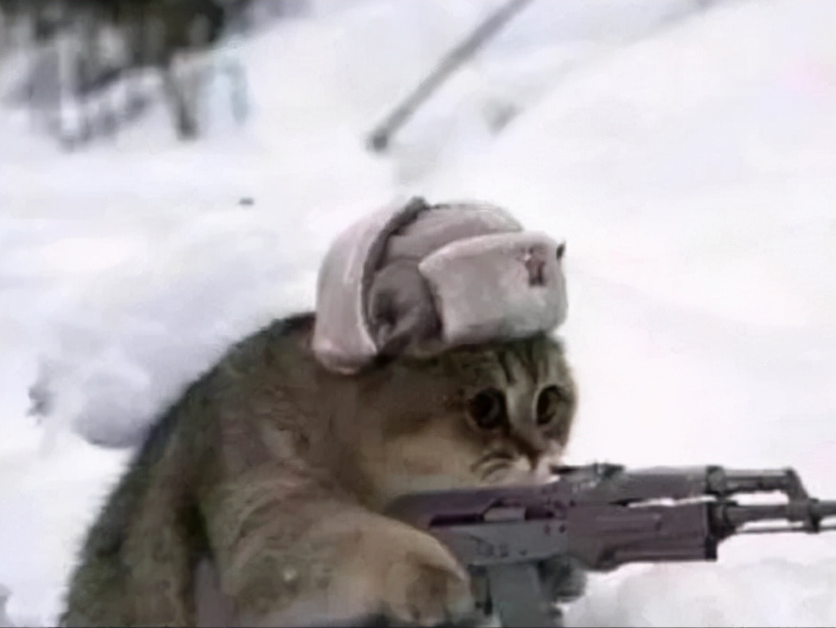 俄罗斯被制裁的东西有哪些,被制裁的俄罗斯