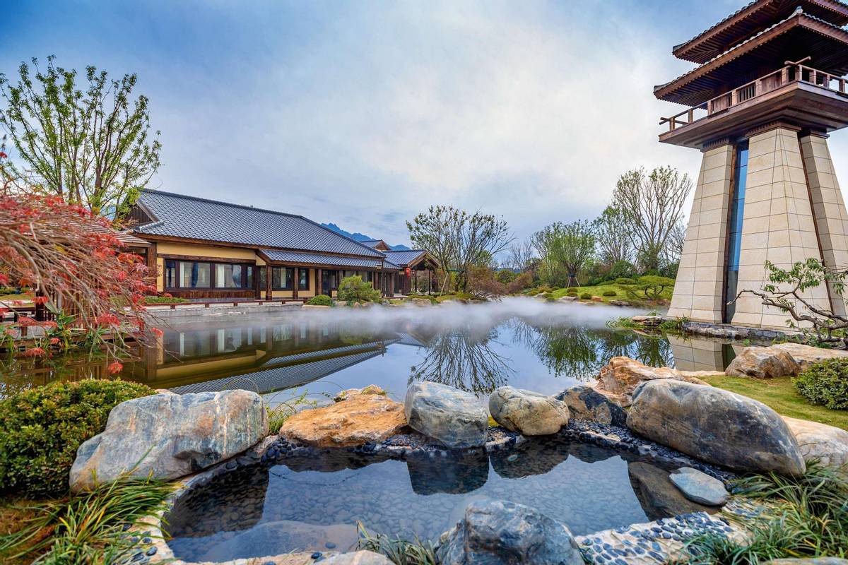 天朗董事长孙茵打造民宿,天朗孙茵创业经历