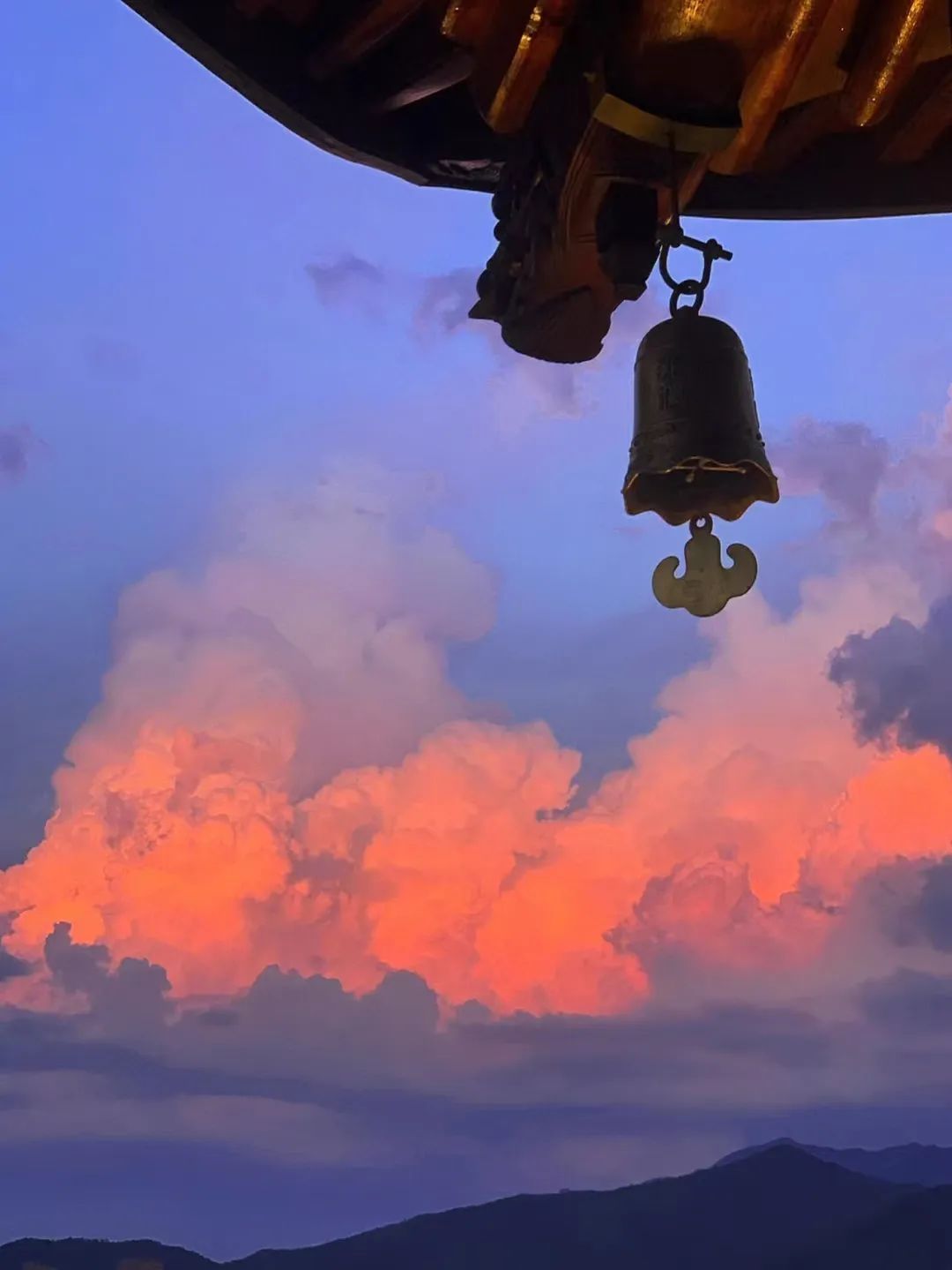 这个小县城藏了无数神仙美食,温州这座被低估的美食之城