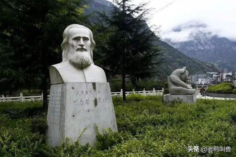 熊猫外交带来的经济效益,熊猫外交新闻稿