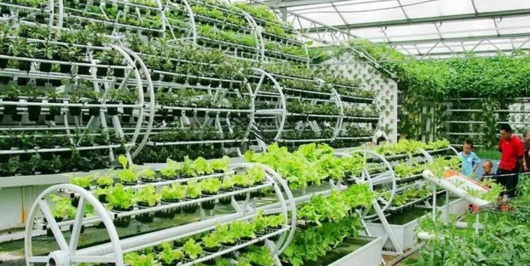 数字农业智慧农业场景,数字农业智慧化