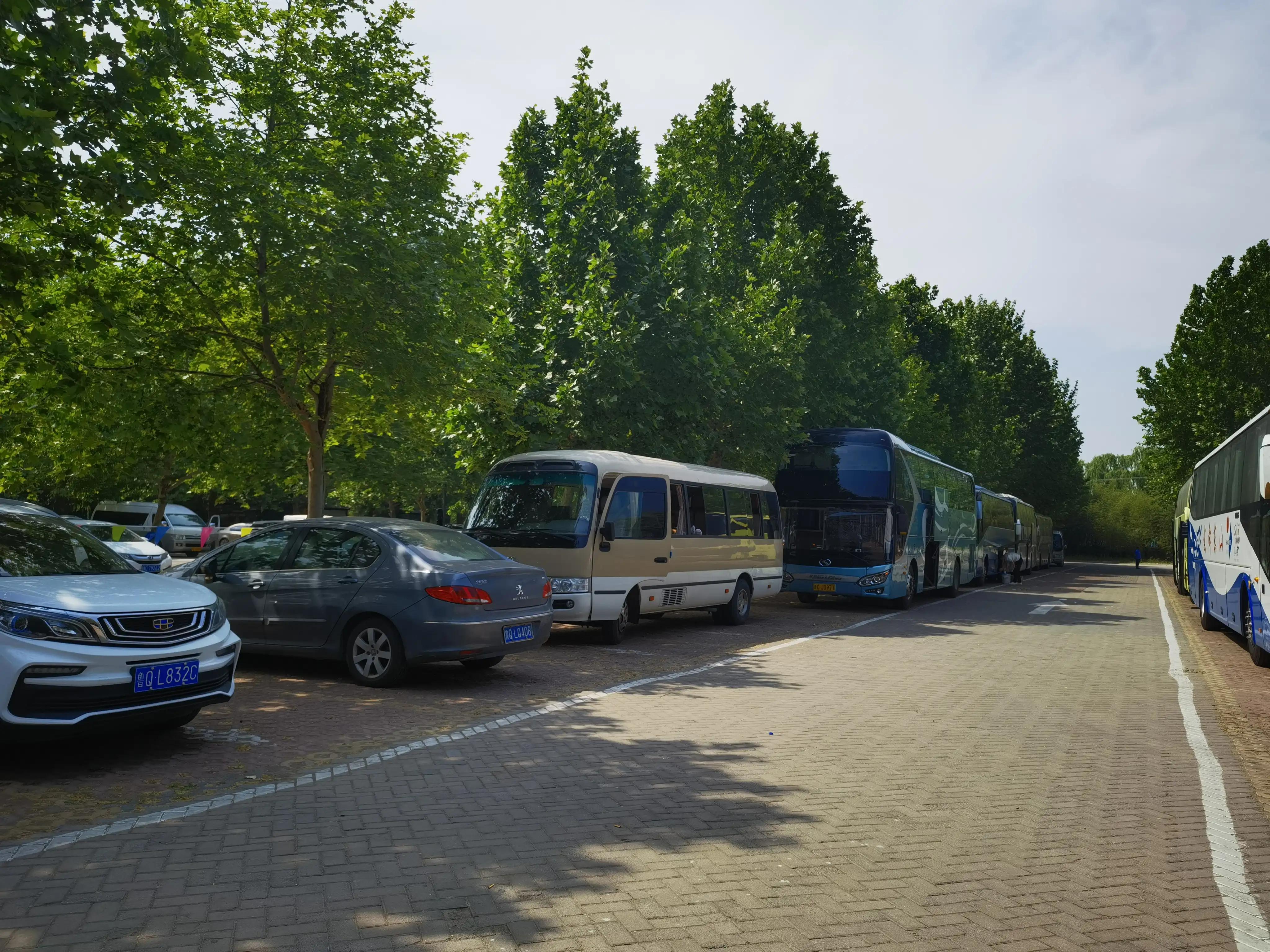 山东自驾游竹林小镇,五一自驾游推荐洞林湖