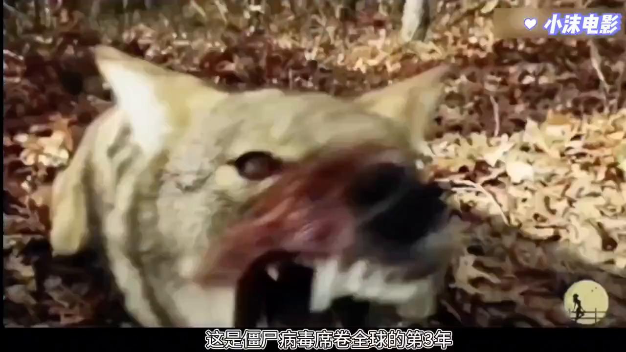 越看越上瘾的美剧：《僵尸国度》，绝境下的人性与善和温和