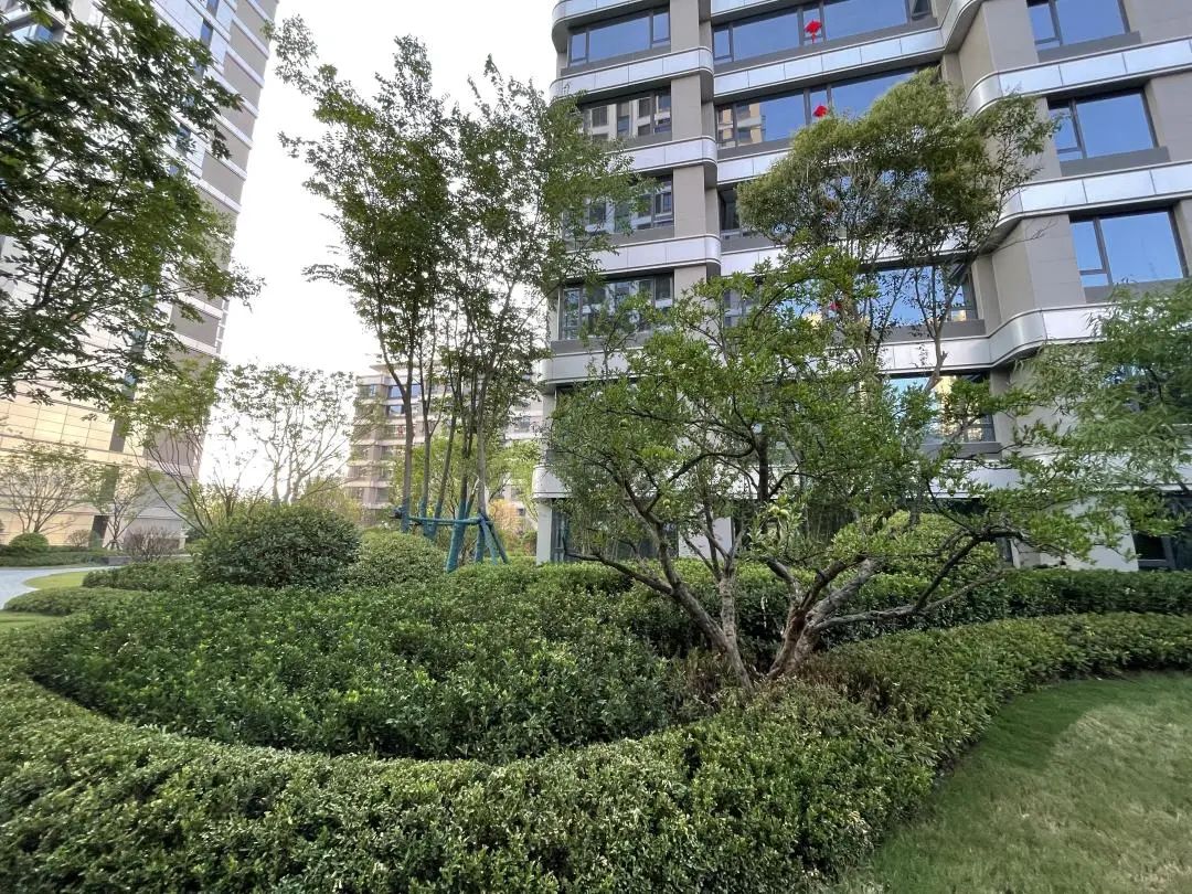 西派时代沣西新城交房,沣西中铁西派时代交房视频