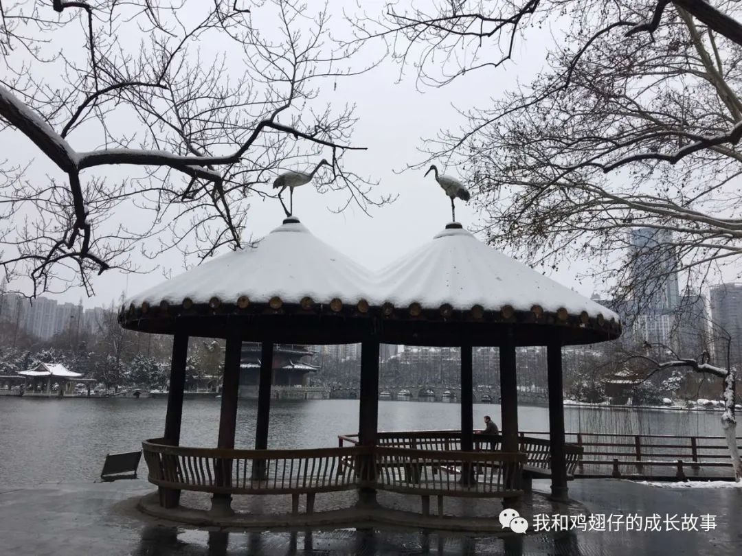 爱美丽推荐城市公园打卡第89-合肥游玩，必去10大经典打卡地推荐