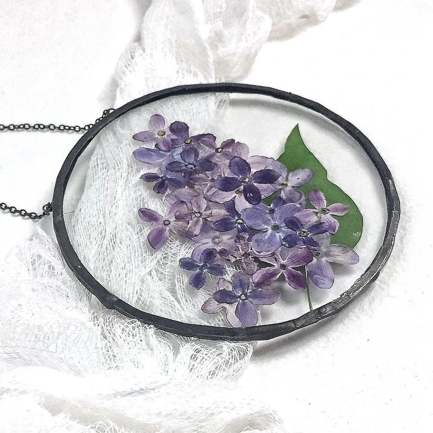 快来抄作业！她用3年时间，把植物标本做成了艺术品