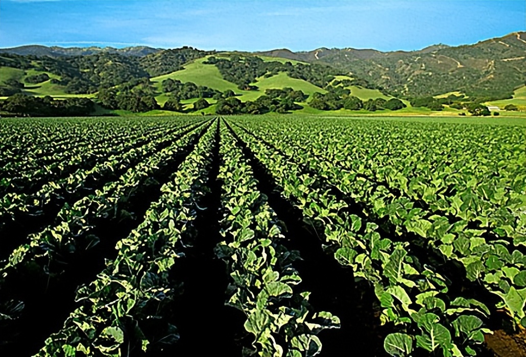 波兰农业现状,波兰产业结构最新