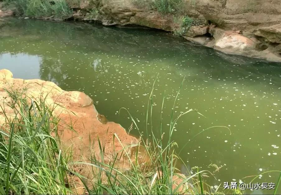 西安灞桥违法挖沙,西安非法挖沙最新处理结果