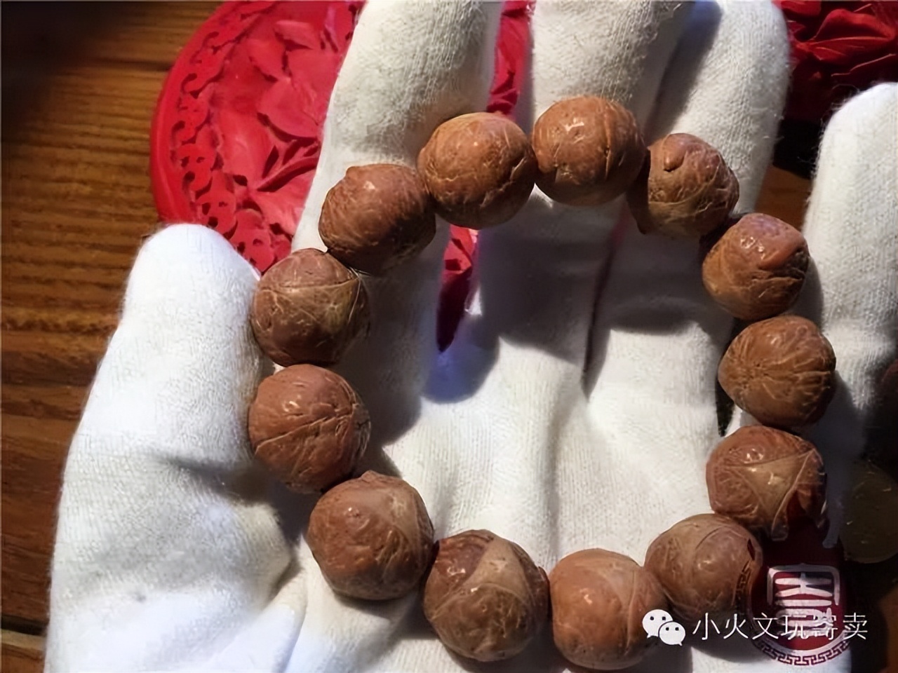 凤眼菩提20天效果,2023年凤眼菩提