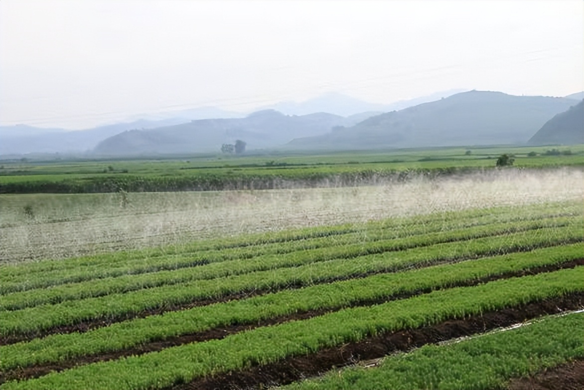 绘制乡村振兴新图景,描绘乡村振兴新画卷的下联