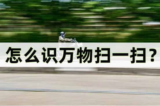 怎么识万物,识万物扫一扫准确吗