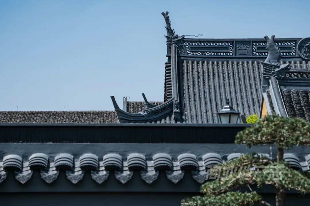 CRR百图斩|公园里的新天地:上海蟠龙天地