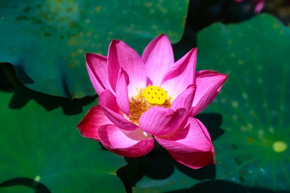 咸宁周边避暑胜地亲子游,湖北咸宁周边避暑