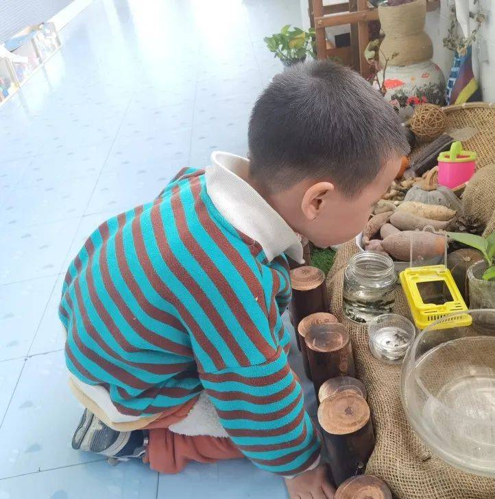 邂逅蝌蚪，感受生命的演变—诺亚舟海盐庆安幼儿园小一班