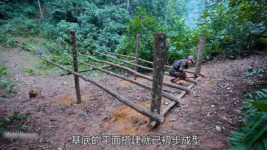 野外生存原始森林21天,荒野庇护所搭建狩猎小屋