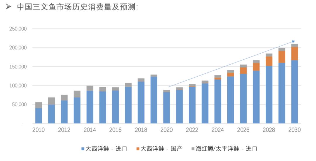 佳沃食品冰鲜三文鱼,佳沃食品三文鱼