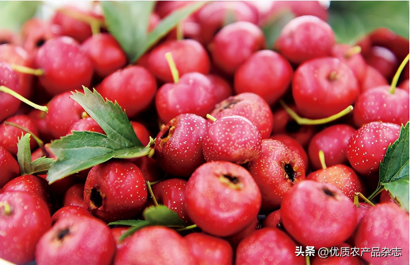 华旗山楂果茶为什么那么甜,华旗山楂果茶1.28升价格