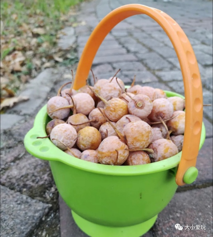 京城赏秋打卡胜地,北京赏秋小众景区