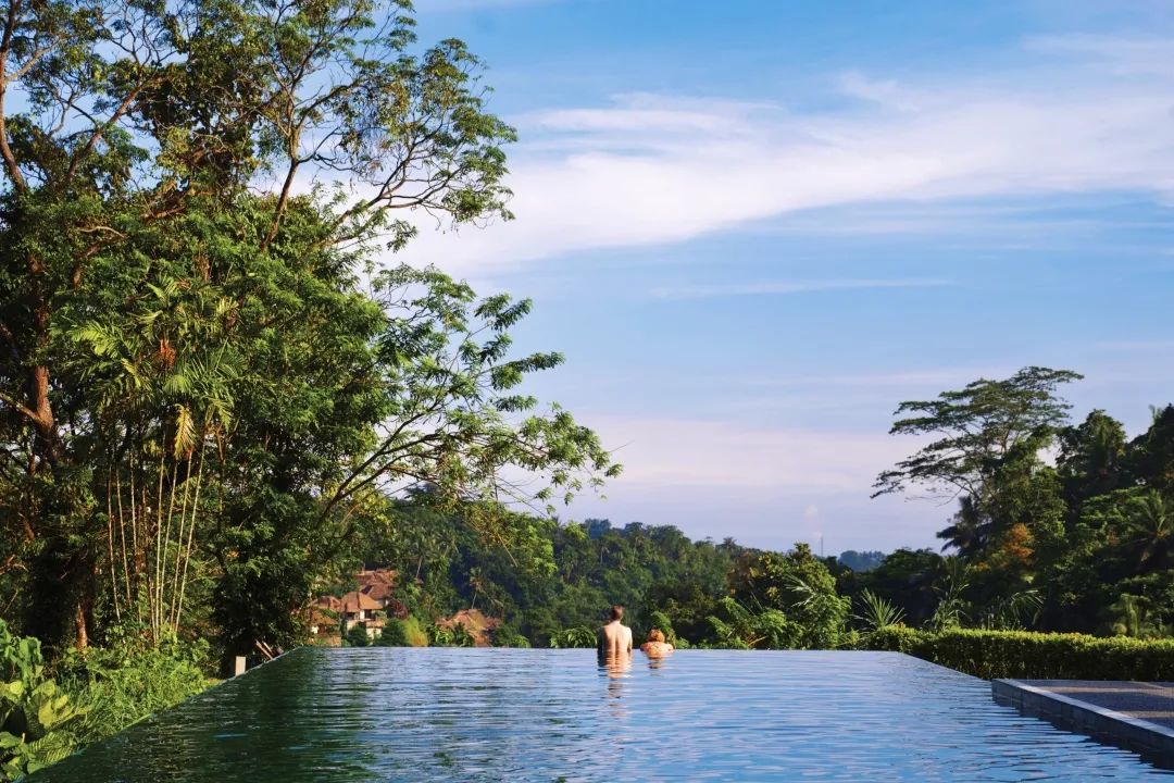 这可能是全球性价比最高的一家阿丽拉