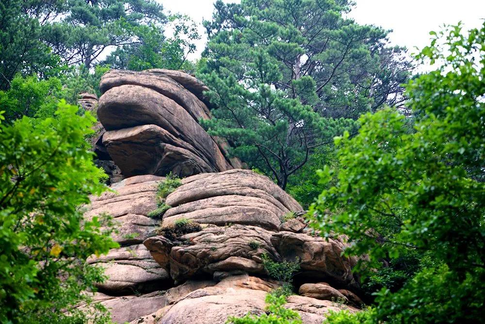抚顺猴石国家森林公园,抚顺猴石森林公园视频