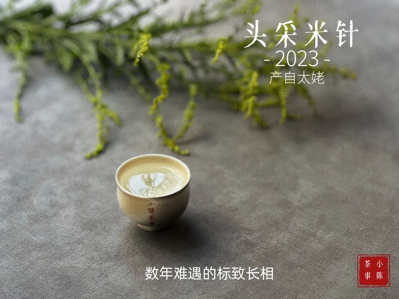 白茶鉴茶全套视频教程,白茶鉴茶教学视频