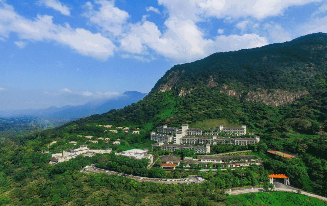 广州增城金叶子温泉推荐,增城金叶子半山温泉公寓