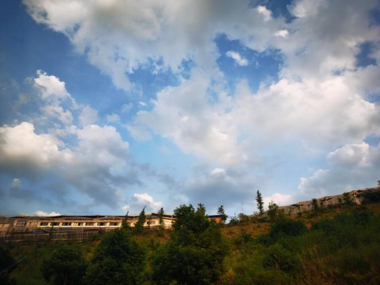 蔚来清华女实习生警方通报,清华女生被同事性侵后续