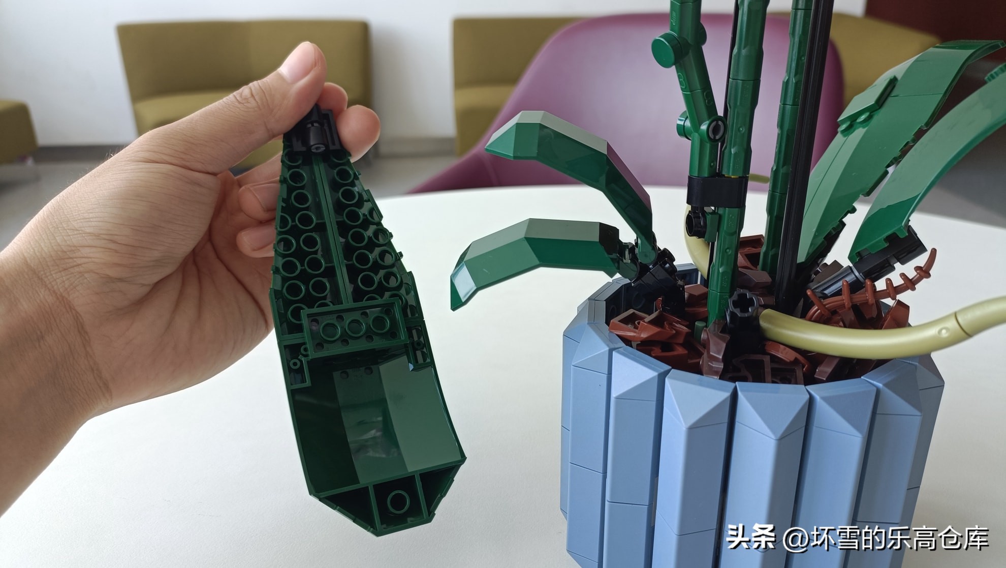 乐高兰花图片及价格,乐高兰花测评