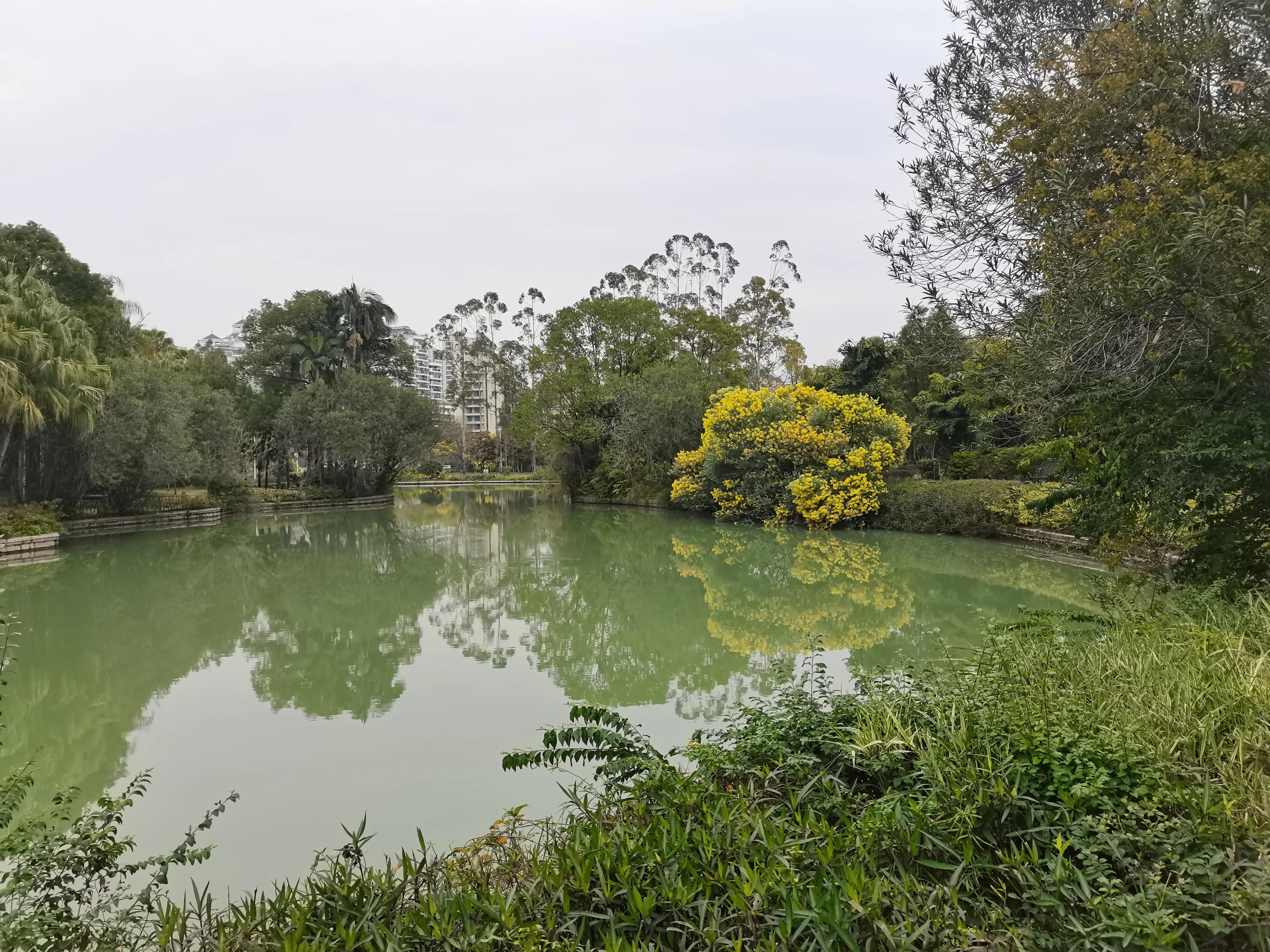 福州郁金香温泉公园,福州花海公园郁金香