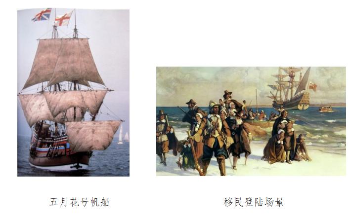 头顶一块布，世界我最富（二）“中东双十一”购物清单盘点